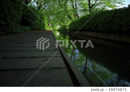 新緑の二ケ領用水（スローシャッター） 39870671