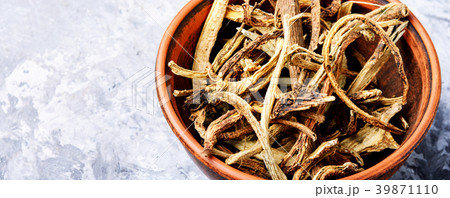 Medicinal root inula Medicinal root inula 39871110