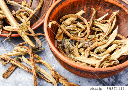 Medicinal root inula Medicinal root inula 39871111