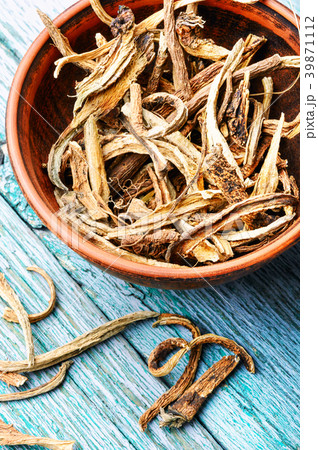 Medicinal root inula Medicinal root inula 39871112