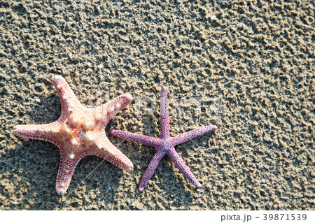 Background of sea stars 39871539