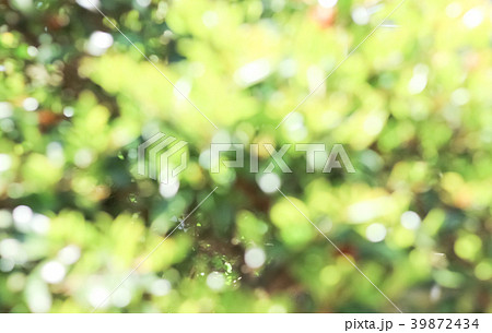 抽象的な自然背景 39872434