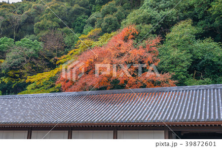 金刀比羅宮 境内の秋景色 39872601