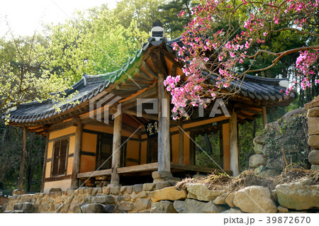 竹 花 サンシュユ 39872670