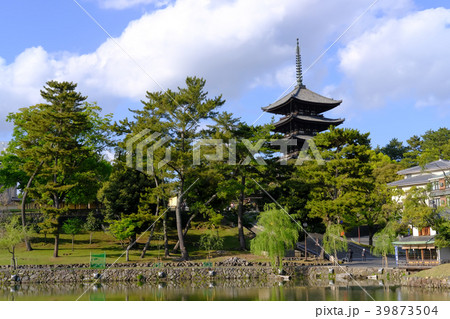 猿沢の池と五重塔 39873504