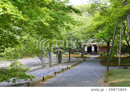 京都　初夏の仙洞御所 39873804