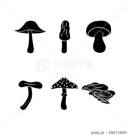 Different types of mushrooms 39873894