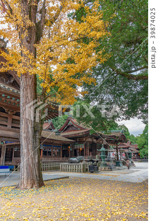 金刀比羅宮の秋景色 39874025