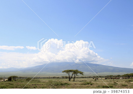 セレンゲティ原風景 セレンゲティ原風景 39874353