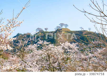 〈島根県〉安来市 桜と月山富田城跡 〈島根県〉安来市 桜と月山富田城跡 39874758