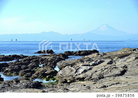 高解像度) 黒崎 富士山 神奈川県三浦市初声町の風景 39875856