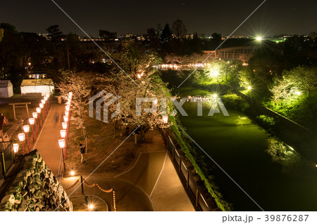 郡山城跡の夜桜 39876287
