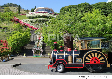 ツツジとロードトレイン(ポッポ号) ツツジとロードトレイン(ポッポ号) 39876348