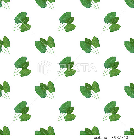 Seamless background watercolor organic vegetable 39877482