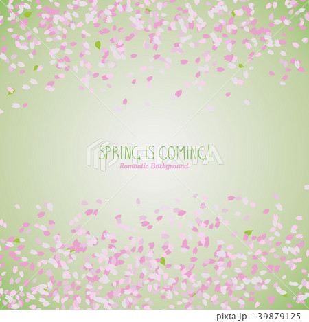 Simple romantic frame for text. Sakura petals. Simple romantic frame for text. Sakura petals. 39879125
