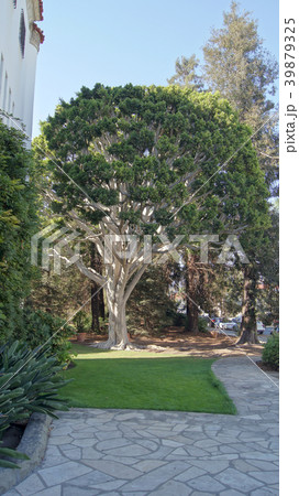 SANTA BARBARA, CALIFORNIA, USA - OCT 8th, 2014 39879325