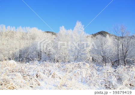 冬景色、新雪、青空と里山の冬の朝の風景 冬景色、新雪、青空と里山の冬の朝の風景 39879419