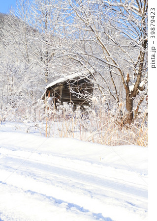 冬景色、新雪、里山の冬の朝の風景と道 39879423
