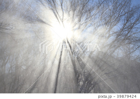 冬景色、太陽の光芒 冬景色、太陽の光芒 39879424