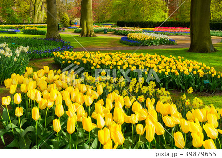 Formal spring garden Formal spring garden 39879655