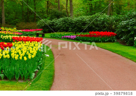 Stone path winding in a garden 39879818