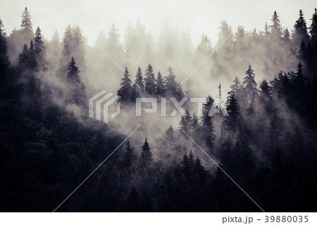 Misty mountain landscape Misty mountain landscape 39880035
