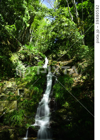 島本町 水無瀬の滝 風景 島本町 水無瀬の滝 風景 39880582