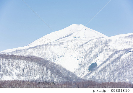 ニセコアンヌプリ(スキー場 遠景) ニセコアンヌプリ(スキー場 遠景) 39881310