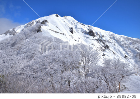 雪の白毛門　　山頂へ続く雪稜と白毛門山山頂 39882709