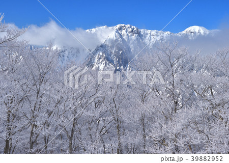 白毛門山頂付近からの樹氷と雪の谷川岳東面岩壁 39882952