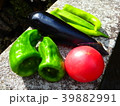 野菜収穫 39882991