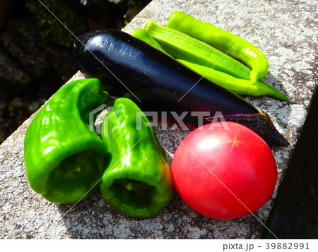 野菜収穫 39882991