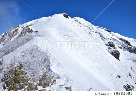 雪の白毛門　　山頂へ続く雪稜と白毛門山山頂 39883095