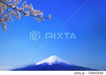 青空バックの富士山と桜の花 39883699
