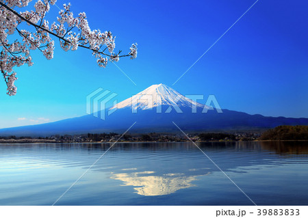 富士山と河口湖に写る逆さ富士に桜の花 39883833