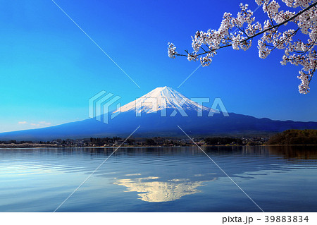 富士山と河口湖に写る逆さ富士に桜の花 39883834