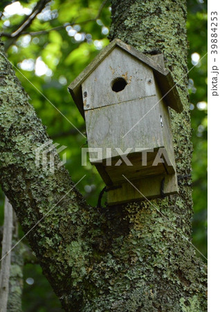鳥の巣箱（西湖野鳥の森公園／山梨県南都留郡富士河口湖町西湖2068） 39884253