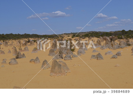 The Pinnacles schedule/The Pinnacles The Pinnacles schedule/The Pinnacles 39884689