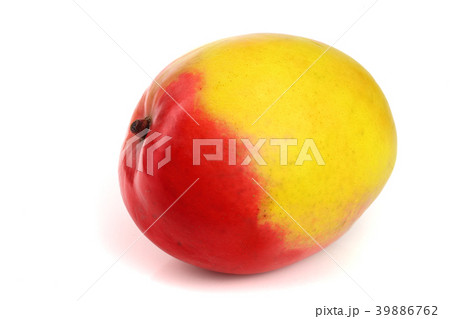 Mango fruit isolated on white background close-up Mango fruit isolated on white background close-up 39886762