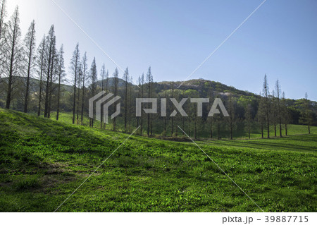 瑞山市 忠南 反射 39887715