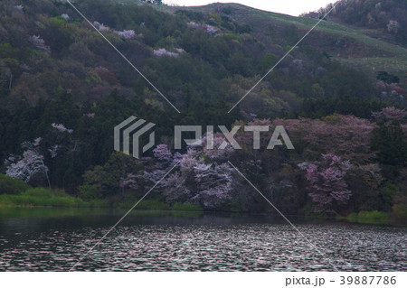 瑞山市 忠南 貯水池 39887786