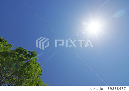 灼熱の太陽(背景素材) 灼熱の太陽(背景素材) 39888477