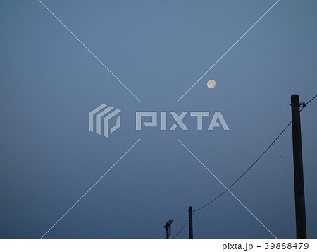 立待月 17夜 立待月 17夜 39888479