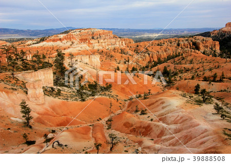 Bryce Canyon National Park, Utah, United States Bryce Canyon National Park, Utah, United States 39888508
