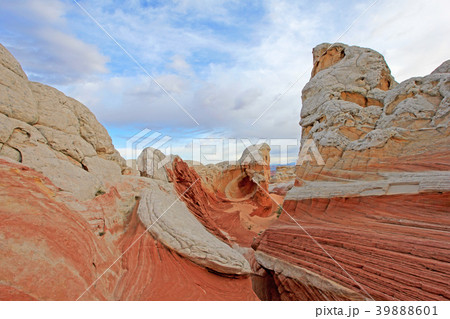 Butterfly, a rock formation at White Pocket Butterfly, a rock formation at White Pocket 39888601