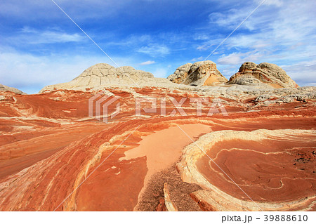 Butterfly, a rock formation at White Pocket 39888610