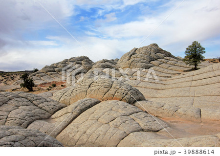 The Brain, a rock formation at White Pocket 39888614