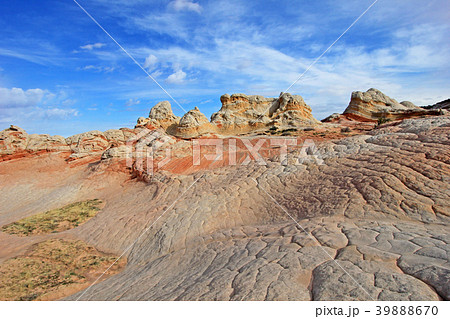 Butterfly, a rock formation at White Pocket 39888670