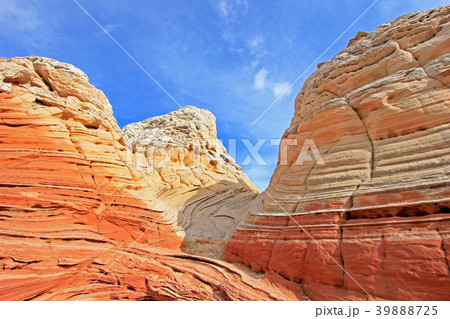 Butterfly, a rock formation at White Pocket 39888725