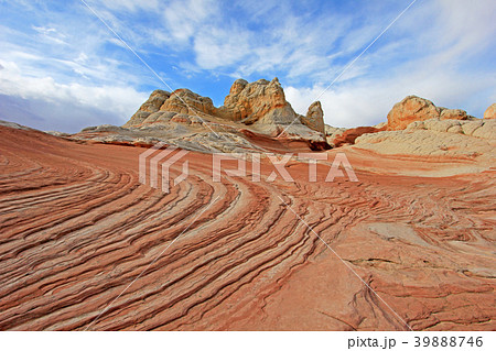 Butterfly, a rock formation at White Pocket 39888746